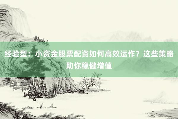 经验型：小资金股票配资如何高效运作？这些策略助你稳健增值