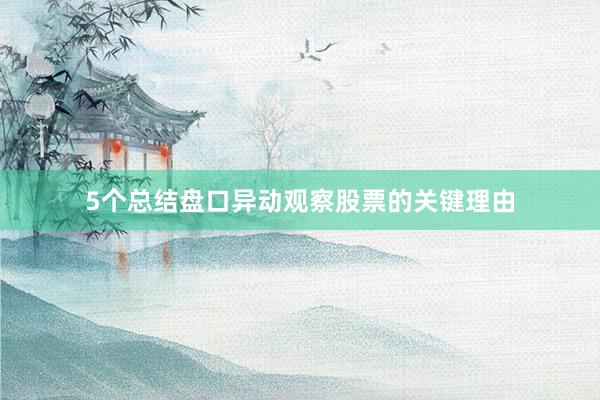 5个总结盘口异动观察股票的关键理由