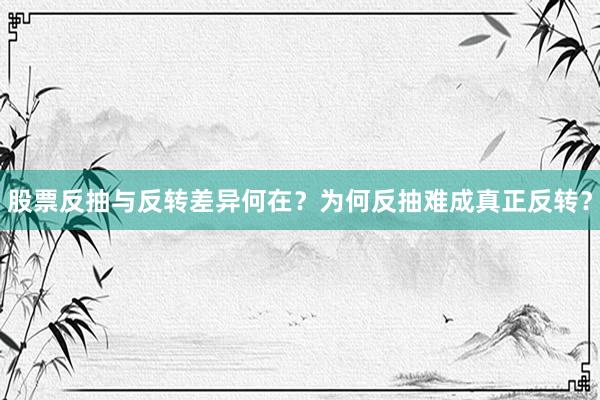 股票反抽与反转差异何在？为何反抽难成真正反转？