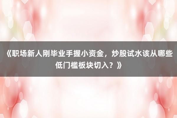 《职场新人刚毕业手握小资金，炒股试水该从哪些低门槛板块切入？》