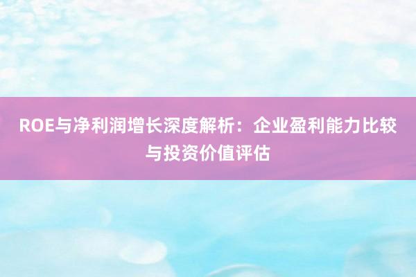 ROE与净利润增长深度解析：企业盈利能力比较与投资价值评估