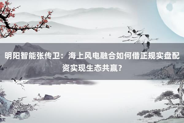 明阳智能张传卫：海上风电融合如何借正规实盘配资实现生态共赢？