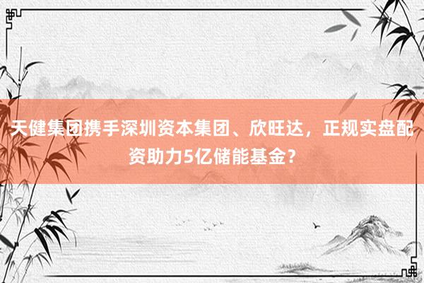 天健集团携手深圳资本集团、欣旺达，正规实盘配资助力5亿储能基金？